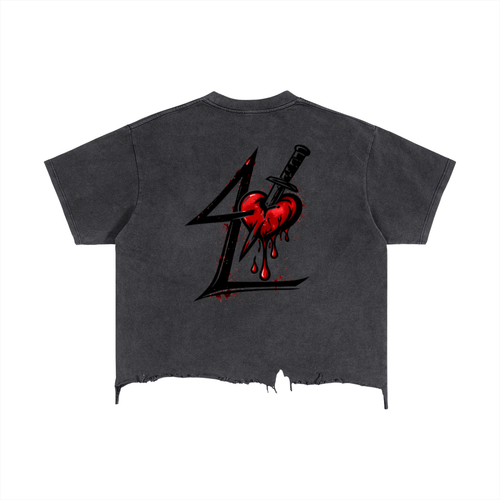 streetwear,acid wash,vintage,cropped tee,4L